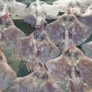원항수산 - 통영시 새터길 42-6 | 원항수산