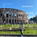 P-5308 | [공지] 이탈리아 로마 자유 신혼여행 4박5일 일정 총정리 경비 공유