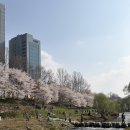 (주)포현 | 양재천 카페 심재 ☕ 벚꽃 시즌 그나마 덜 붐비는 양재 디저트 맛집