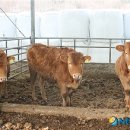 소로3-72 이미지