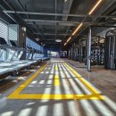 레드짐 피트니스 이미지