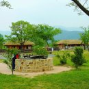 들꽃이야기 이미지