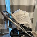 Uppababy Cruz stroller $250 (판매완료) 이미지