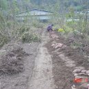 운용농장 이미지