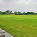 (주)대지골프 이미지