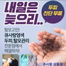 정염색방 | 2023년 7월 11일 소자본창업 큐사랑 염색방 대구세미나 후기 삼계탕으로 몸보신