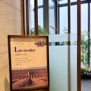 서울 아쿠아룸(문화점) | 스타필드 고양 아쿠아필드 방문후기 2편! 아이들과 함께 놀거리 vs 데이트 감성, 안마기가격