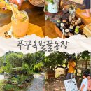 진정농장 | 푸꾸옥 북부 가볼만한 곳 관광지 벌꿀농장 투어 BEE FARM 체험