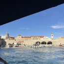 터미널그린약국 | 크로아티아 🇭🇷 7+1 일기 네번째 장 📝 [두브로브니크 여행 2️⃣ &amp; 3️⃣]