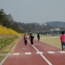 남강둔치(신안동~평거동) 이미지