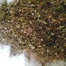 달래네 하우스 이미지