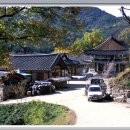 태장화원