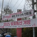 비전석유 | 인천벚꽃명소 SK인천석유화학 벚꽃동산 4/12 실시간 방문 후기
