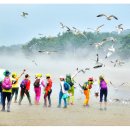 몽산포주차장 이미지