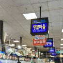 금성수산 | 노량진 방어회,우니 포장 내돈내산 후기 땅끝마을,금성수산