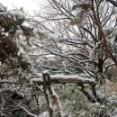 새마을근린공원 이미지