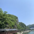 단양군시티투어 네이버블로그