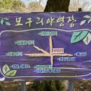 모구리야영장(일출봉영지) 이미지