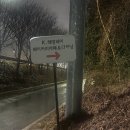 N.K | 분당 | K헤밍웨이 베이커리 카페&amp;다이닝: 분당 대형 카페 내돈내산 n번째 방문 후기