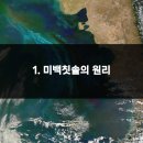 미소가아름다운치과의원 | 미백칫솔로 치아 미소가 반짝반짝 당신도 스타처럼 환하게