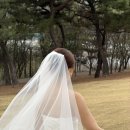 신부헤어샵 - 동구 | 웨딩촬영신부염색 대전헤어샵 1992헤어 방문후기