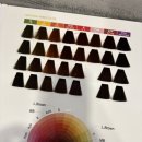 염편한세상 이미지