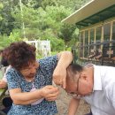 숲속에 우산정원 이미지