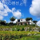 홍천강RIO펜션 이미지