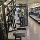 비비드 휘트니스 이미지