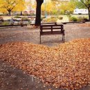 알프스 힐 하우스 이미지