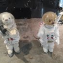 제주테디베어뮤지엄 이미지