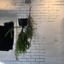 영머리방 이미지