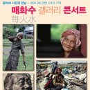 갤러리포차 Daum카페