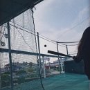 삽교호 🎡 이미지