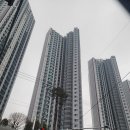 롯데골드세탁 이미지