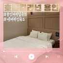 호텔 컬리넌 용인 | 용인터미널 숙소 가성비 좋았던 호텔컬리넌 용인 디럭스룸