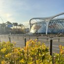 서울식물원 | 아기랑 유모차 산책하기 좋은 곳 | 마곡 서울식물원 후기 (+수유실 정보)