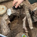 네이처테이너 농업회사법인 주식회사 이미지