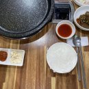 백조품은오리 이미지