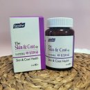 (주)펫둥이 이미지