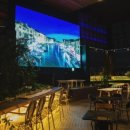 분포나인 이미지