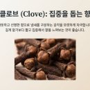 건강의향기 네이버블로그