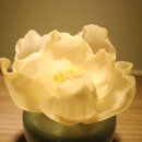 중앙동128 이미지