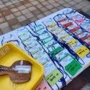 당중초등학교병설유치원 이미지