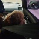 오복펜션 이미지