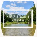 코사화니마트 | 청주에서 가까운 화양계곡 평상 빌려 놀고먹고