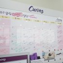 커브스 와동클럽 이미지