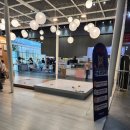 (주)마루펫 이미지