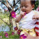 대관령바우한우목장 이미지