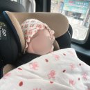 안심택시 | 🚕 “엄마아빠서울택시” 지원금으로 더욱 안심한 파파 택시 이용 후기